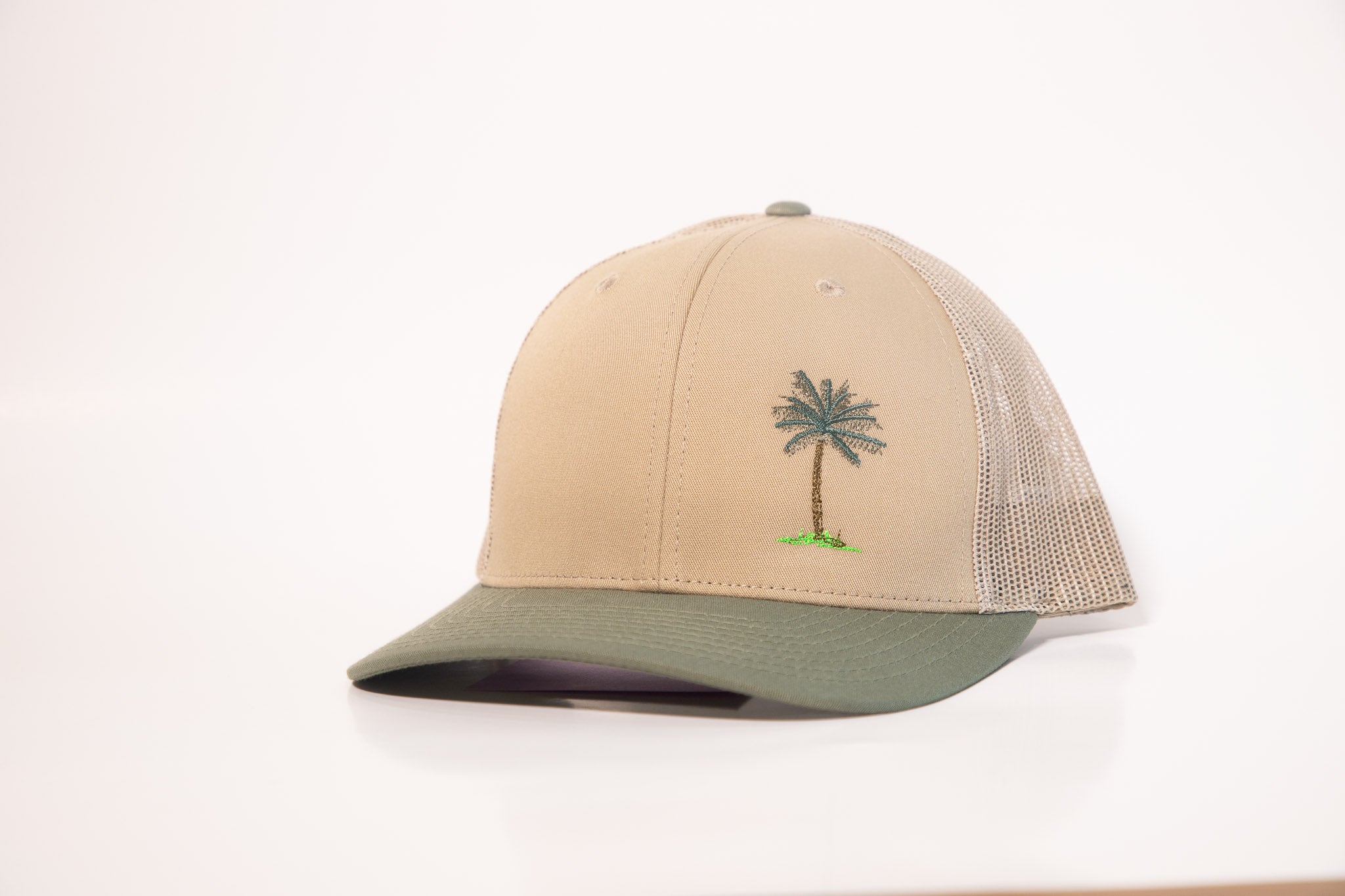 Structured Palm meshback hat
